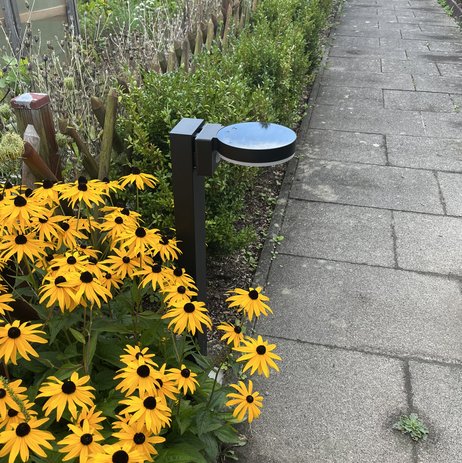 Insektenfreundliche Solarlampe